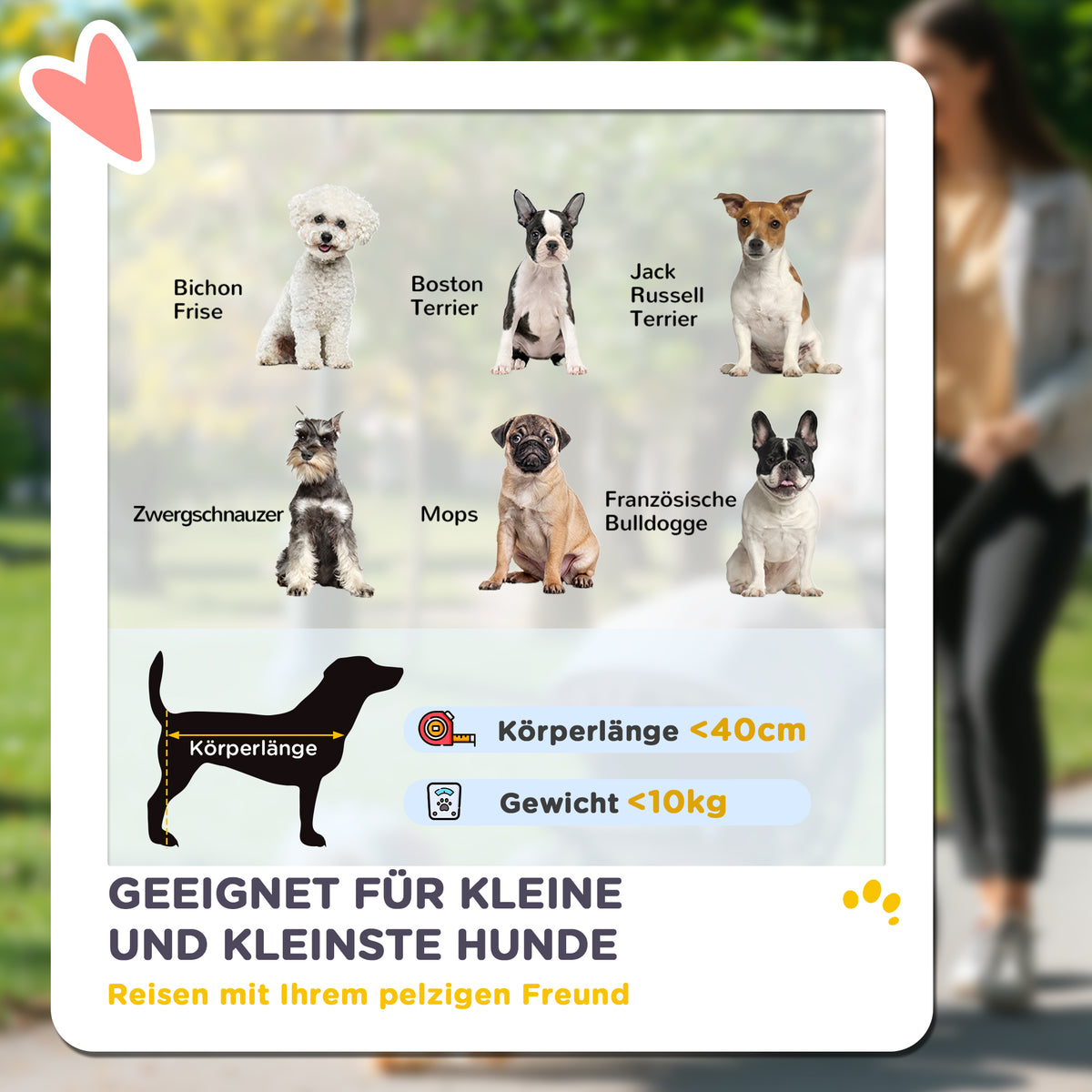 PawHut Hundewagen, Leichter und faltbarer Transportwagen für kleine Hunde, waschbares Kissen, Netzfenster, Khaki