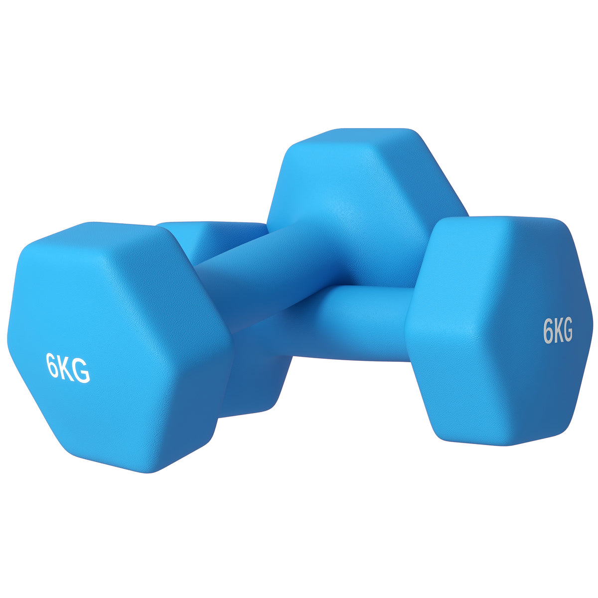 SPORTNOW Set 2 Hexagonale Hanteln 2x6kg aus Metall und Kunststoff mit rutschfestem Griff, 22x10x10 cm, Blau