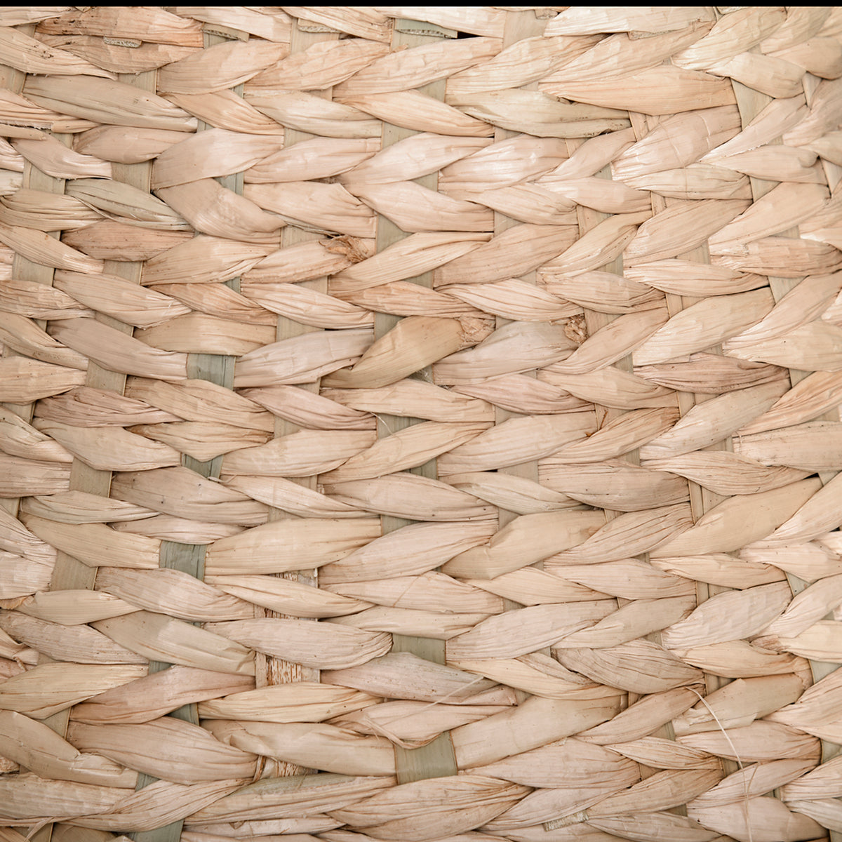 PawHut Katzenbaum Kratzbaum Kätzchen Möbel mit Katzenhöhle Ballspielzeug Sisal weiche Plüsch Höhe 82,5 cm Gelb